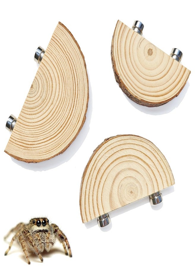 Anranmm 3 Pack Jumping Spider Enclosure Climbing Platforms, Magnetic Jumping Spider Wooden Ledge Ladder, Jumping Spider Accessories, Habitat Decor for Small Light Critters - Image 1